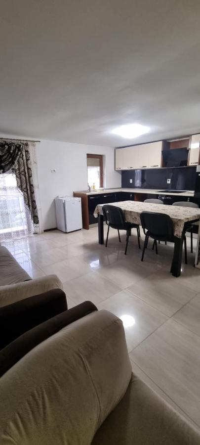 Vila Davison Targu Jiu Luaran gambar