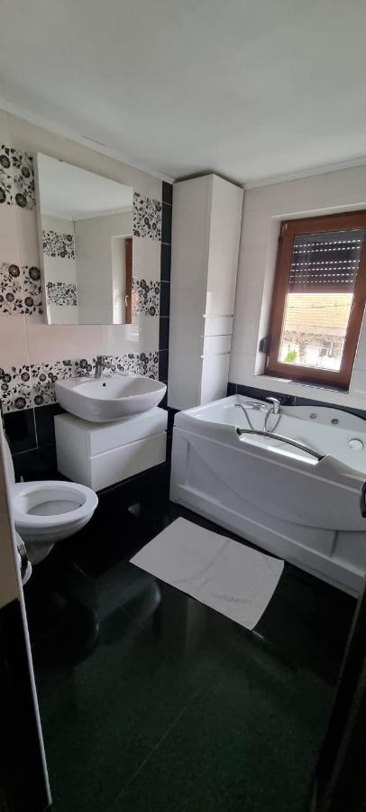 Vila Davison Targu Jiu Luaran gambar