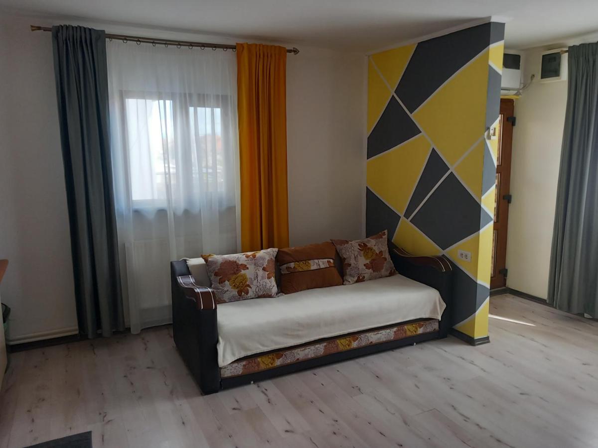 Vila Davison Targu Jiu Luaran gambar