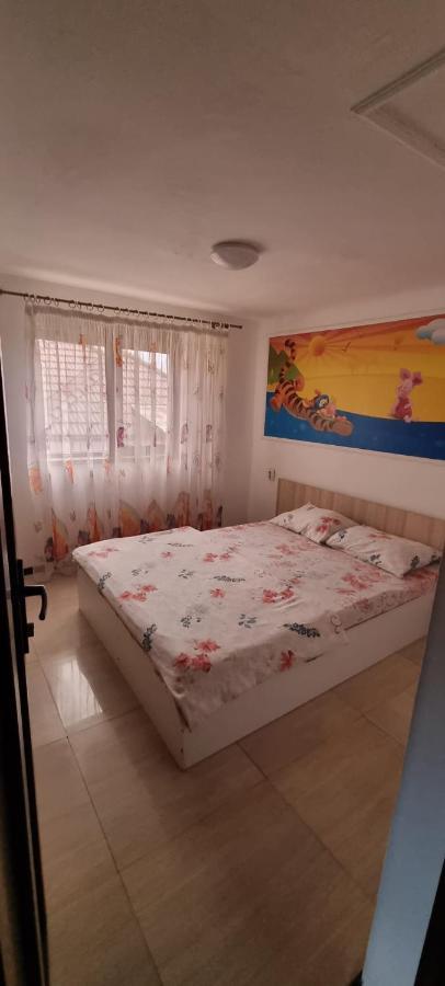 Vila Davison Targu Jiu Luaran gambar